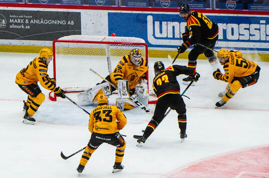 Skellefteås Axel Sandin Pellikka, Zeb Forsfjäll och