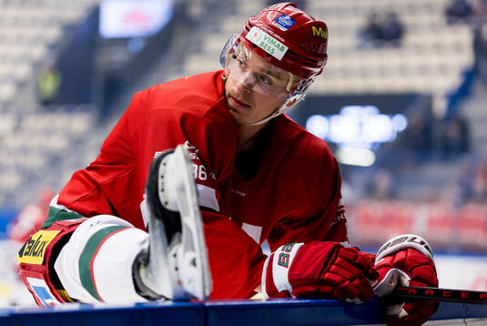 Modos Lukas Jasek