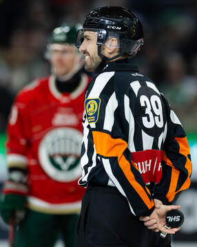 Domare Mattias Enroth