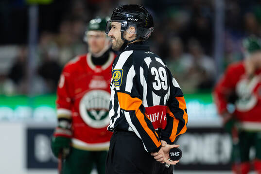 Domare Mattias Enroth
