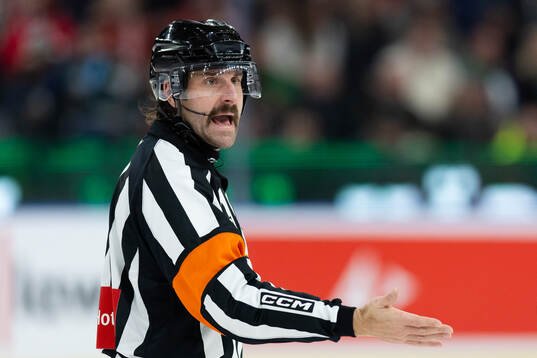 Domare Mikael Sjöqvist