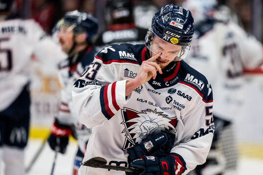 Linköpings Adam Hofbauer deppar