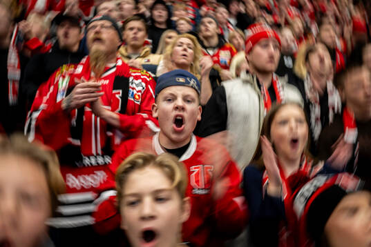 Bläddra bland fler bilder av Ishockey, SHL, Örebro - Linköping