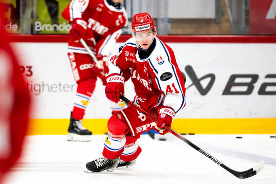 Timrås Justin Gull