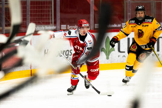 Timrås Vincent Gellar