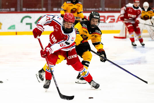 Timrås Axel Carnbro