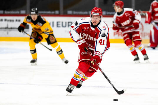 Timrås Justin Gull