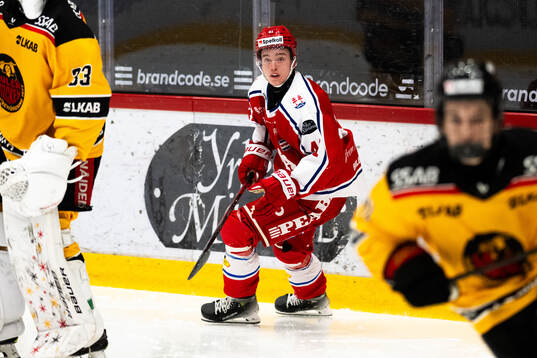 Timrås Justin Gull