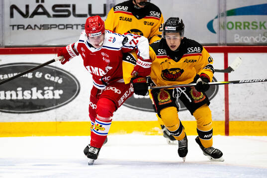 Timrås Janis Weber och Luleås Daniel Kim