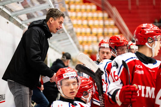 Timrås tränare Andreas Molinder