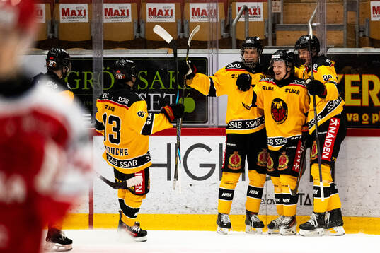 Luleås Elias Knoester jublar