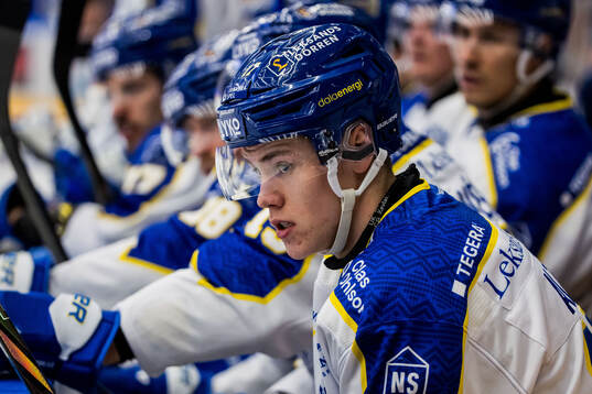 Leksands Dennis Altörn