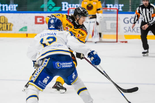 Luleås Marcus Hardegård