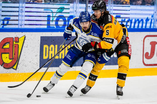 Leksands Marek Hrivik och Luleås Marcus Hardegård