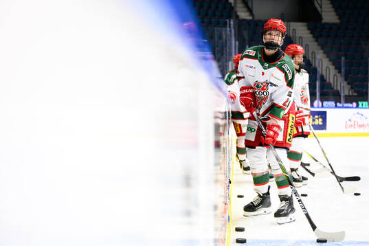 Modos Ebba Hedqvist