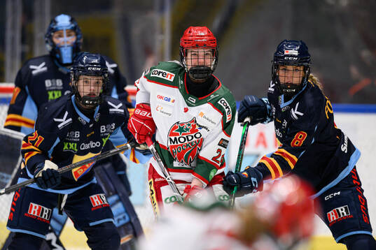Modos Ebba Hedqvist