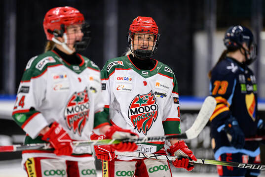 Modos Wilma Sundin