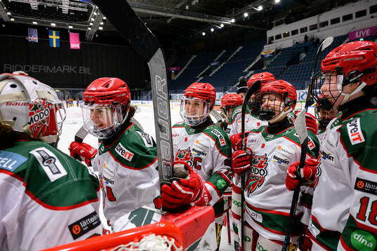 Bläddra bland fler bilder av Ishockey, SDHL, Djurgården - Modo