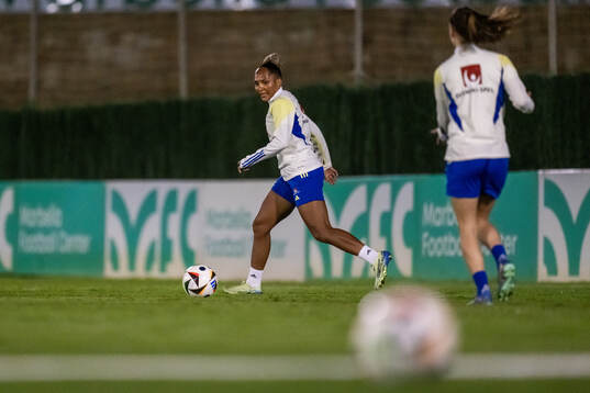 Madelen Janogy of the Swedish women's national football team