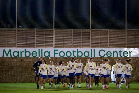 Players of the Swedish women's national football team