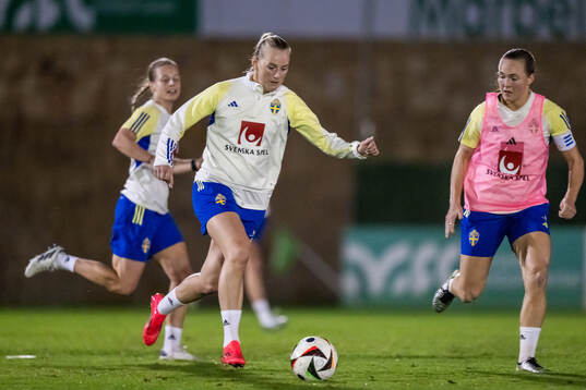 Stina Blackstenius and Magdalena Eriksson of the Swedish