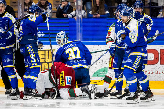 Leksands Marek Hrivik