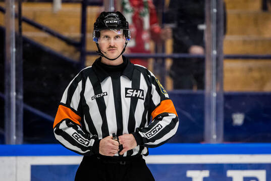 Domare Stefan Leijonklo