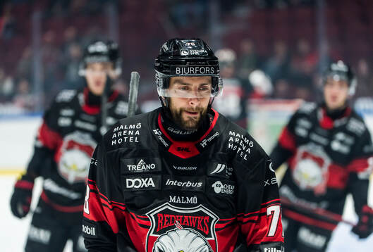 Malmö Redhawks Robin Hanzl