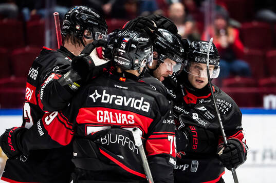 Bläddra bland fler bilder av Ishockey, SHL, Malmö Redhawks - Frölunda