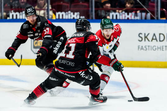 Frölundas Wiktor Nilsson och Malmö Redhawks Nikola Pasic