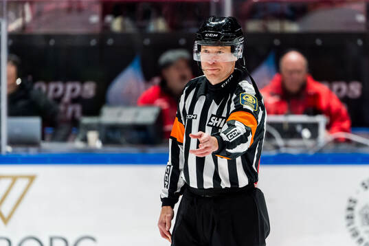Domare Tobias Björk
