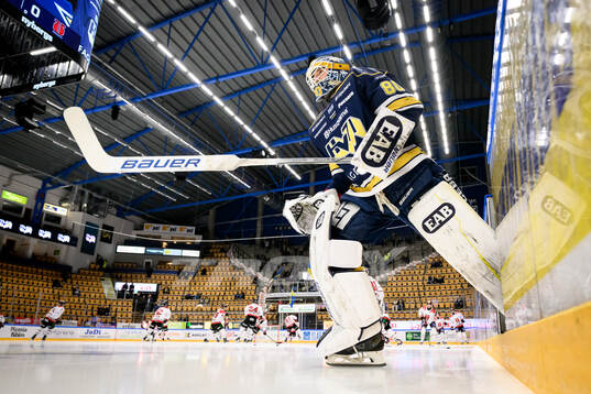 HV71s målvakt Frederik Dichow