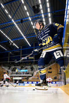 HV71s Wilhelm Hallquisth