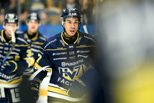 HV71s Jonathan Ang jublar