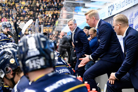 HV71s tränare Anton Blomqvist