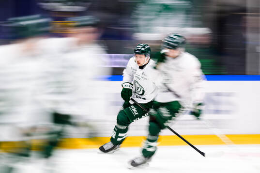 Färjestads Emil Alba