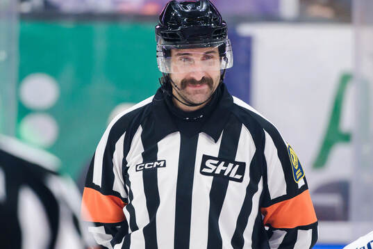 Domare Mikael Sjöqvist