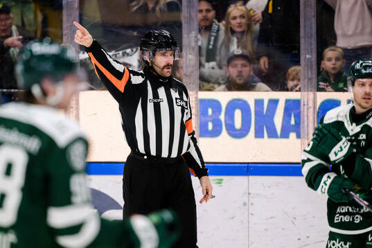 Domare Mikael Sjöqvist