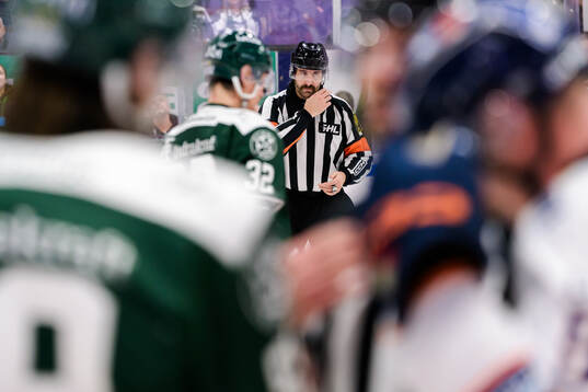 Domare Mikael Sjöqvist