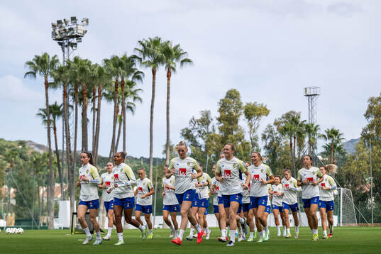 Players of the Swedish women's national football team
