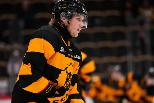 Skellefteås Anton Heikkinen