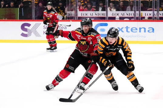 Skellefteås Zeb Forsfjäll