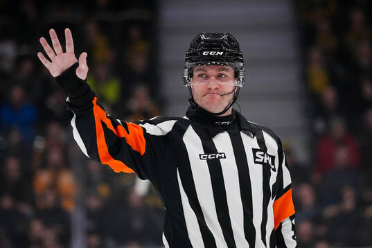 Domare Daniel Eriksson