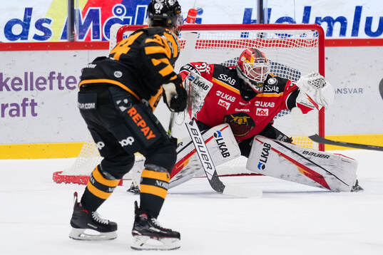 Luleås målvakt Matteus Ward