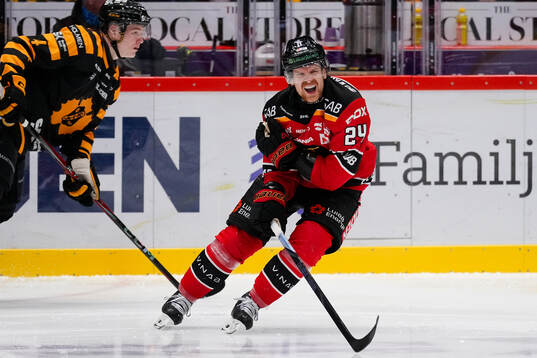 Skellefteås Rasmus Bergqvist och Luleås Brendan Shinnimin