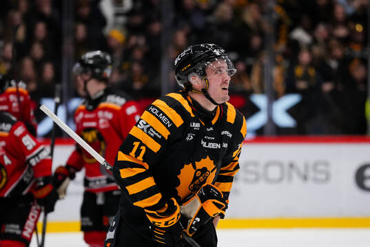 Skellefteås Max Lindholm deppar