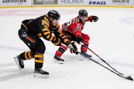Skellefteås Rickard Hugg och Luleås Jesper Sellgren