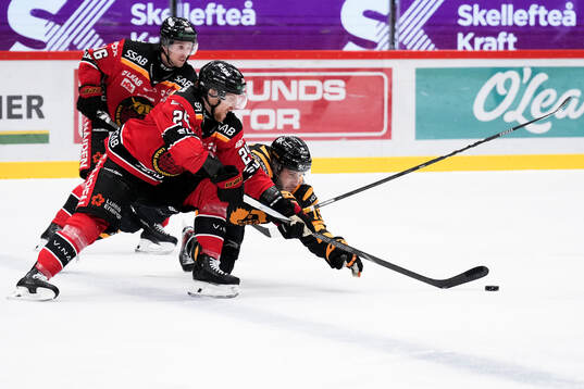 Skellefteås Martins Dzierkals och Luleås Brendan Shinnimin