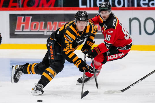 Skellefteås Michael Brandsegg-Nygård och Luleås Mathias