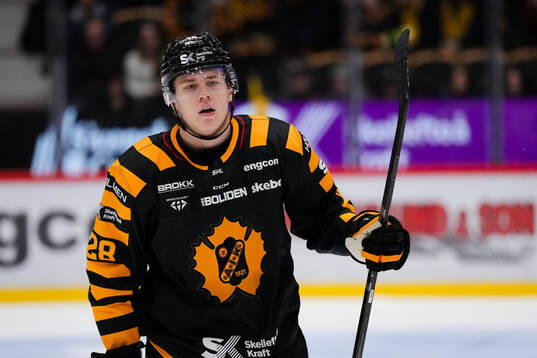 Skellefteås Michael Brandsegg-Nygård